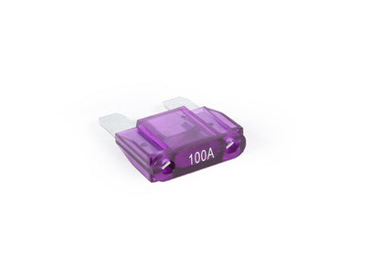 100A Discharge Fuse for Emove Roadster