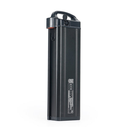 48V 1124Wh Battery for EMOVE Roadrunner V3