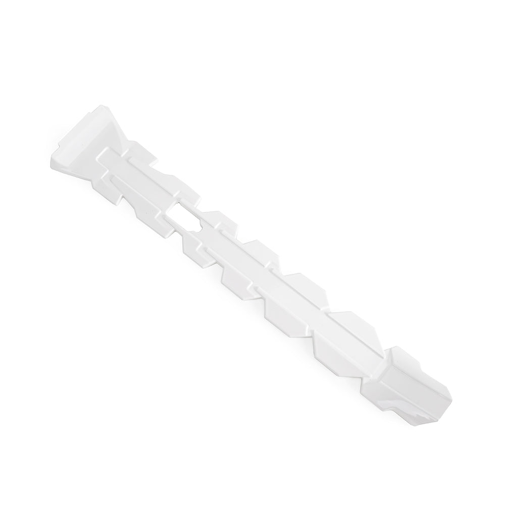Backbone Frame for Daytona