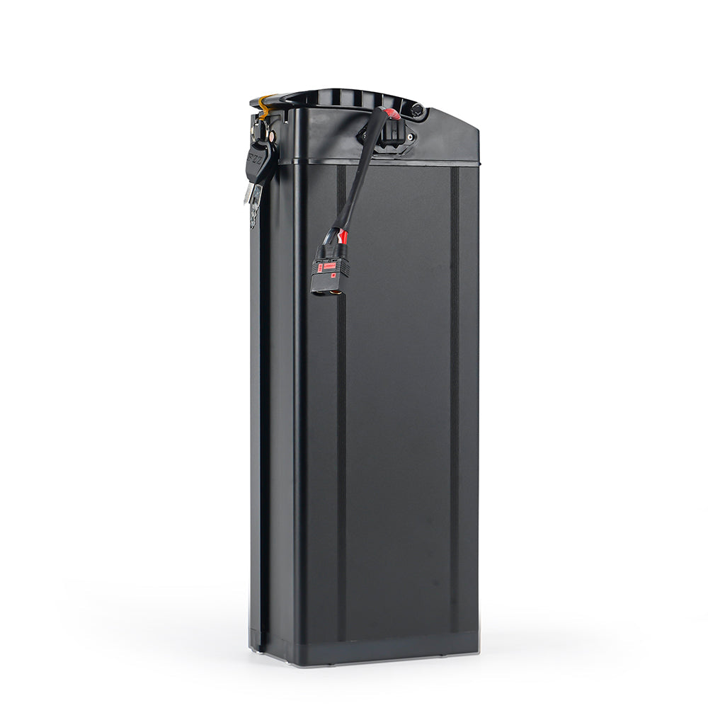 60V 30Ah Battery for EMOVE Roadrunner Pro