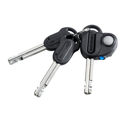 KRYPTONITE EVOLUTION STANDARD KEYS
