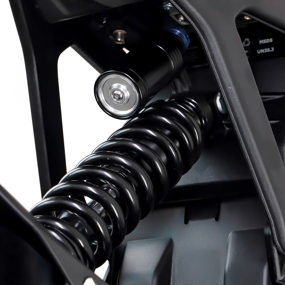 Rear suspension spring view