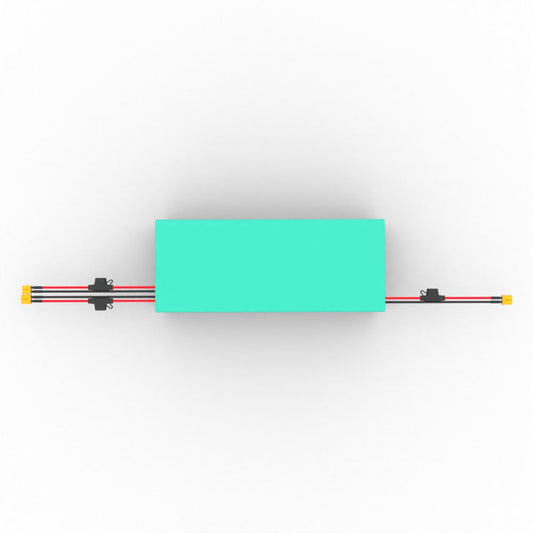 52V 30AH Battery for Cruiser V2
